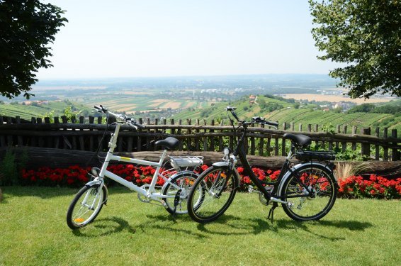 Huurfietsen in Slovenië - Lendava, type e-bike